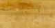 Inscription on reverse of Trysull Ladiies photo. Perhaps referring to the fact that one of the faces has been obliterated?